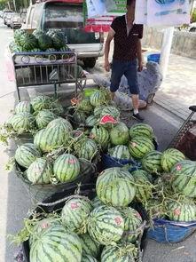 武都吃瓜网红事件视频,揭秘网络舆论的风暴与真相